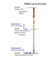 Experiment 3 lasting  increase in joy